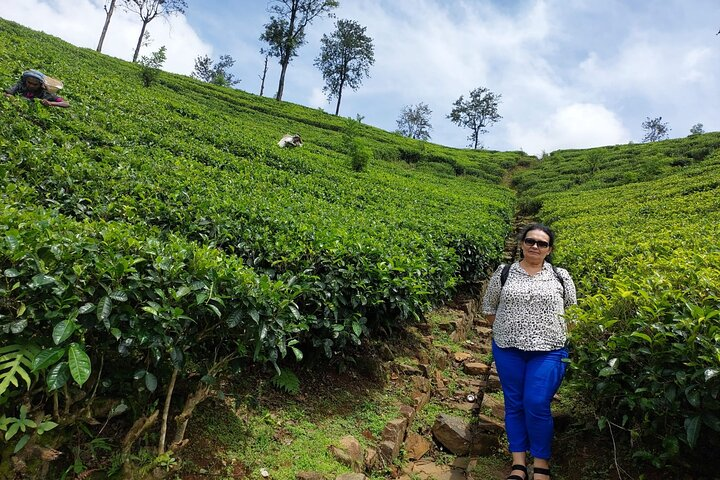 Sri lanka Week In Paradise - Photo 1 of 12